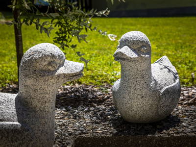 Bild 22 aus  Wallmerhof