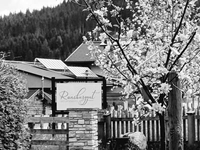 Bild 4 aus  Ferienhof Ransburggut