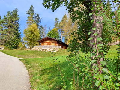 Bild 2 aus  Eckwaldhütten Leitengut