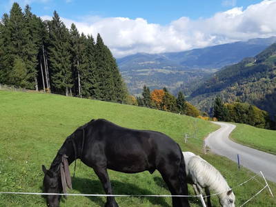 Bild 42 aus  Steinacher