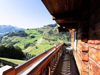 Bild 61 aus  Palfenhof