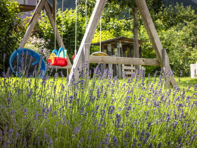 Bild 5 aus  Höllhof