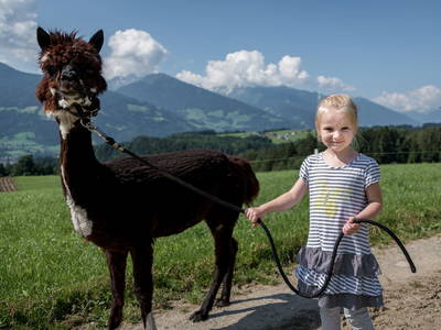 Bild 70 aus  Wichtelhütte
