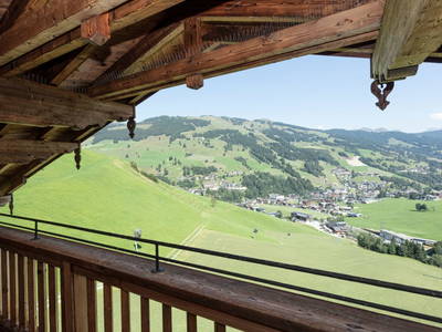 Bild 220 aus  Ferienwohnungen Perfeldhof
