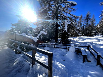 Bild 37 aus Almhütte Kärnten - Almhütte Troadkasten Stubeck
