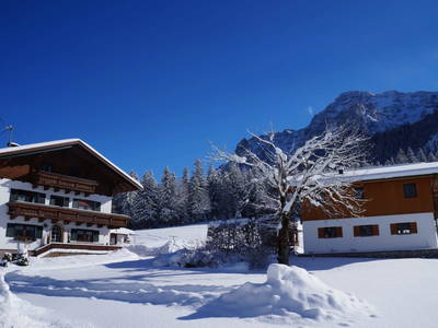 Bild 48 aus  Ascherbauer