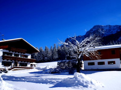 Bild 112 aus Ascherbauer