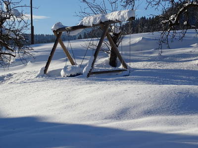 Bild 71 aus Linarhof