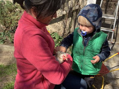 Bild 132 aus  Biohof Seidl