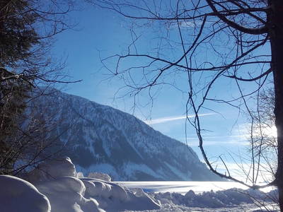 Bild 230 aus  Stanglhof