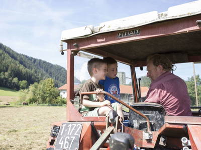 Bild 22 aus  Sturmhof