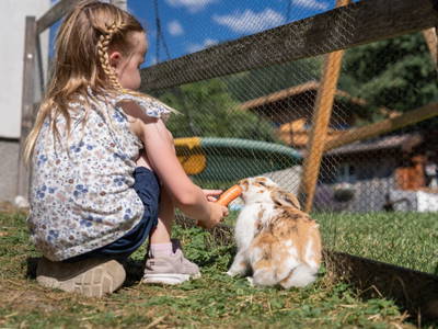 Bild 193 aus  Bio Bauernhof Tobhartbauer