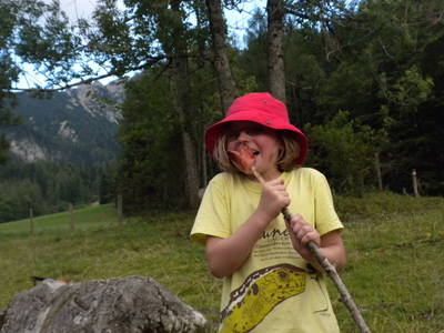 Bild 69 aus  Bio-Urlaubshof Dansbach