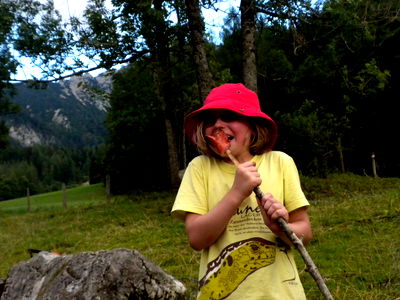 Bild 21 aus Bio-Urlaubshof Dansbach