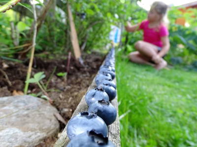 Bild 71 aus  Oberhaslachhof