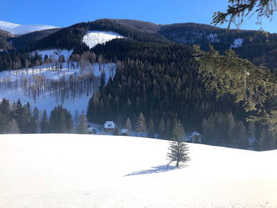 Bild 22 aus TESTHOF Oberösterreich