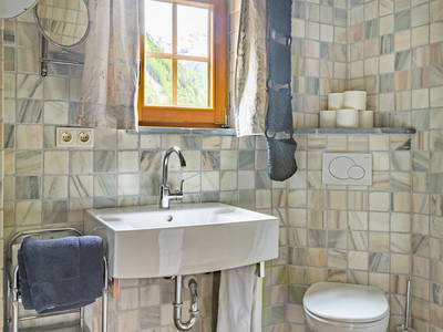 Bild 97 aus  Pöllitzgut