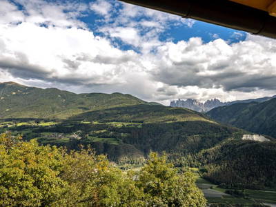 Bild 30 aus  Stillehof, Ferienwohnungen auf dem Bauernhof