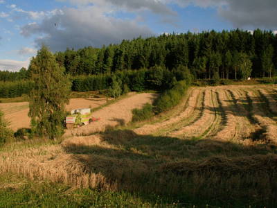 Bild 22 aus  Biohof Besenbäck