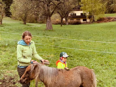 Bild 8 aus  Biobauernhof 'Moar in Greith'