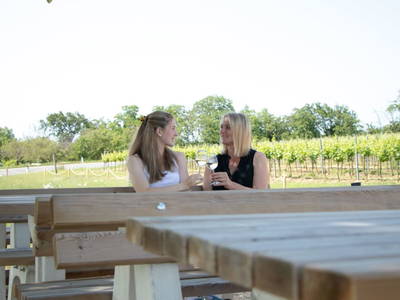 Bild 26 aus  Rebenhof