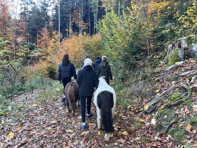 Bild 24 aus  Landhaus  Aigner 