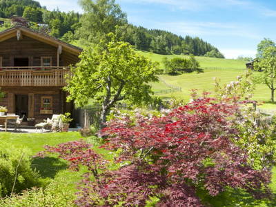 Bild 11 aus  Schloif Troadkastn