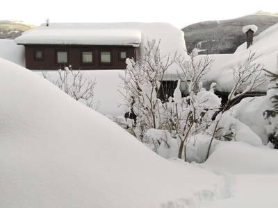 Bild 73 aus Linarhof