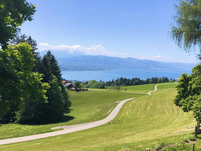 Bild 62 aus  Naturhof Innauer