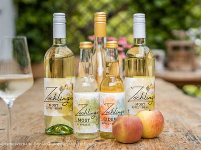 Bild 54 aus  Obergrafenberger