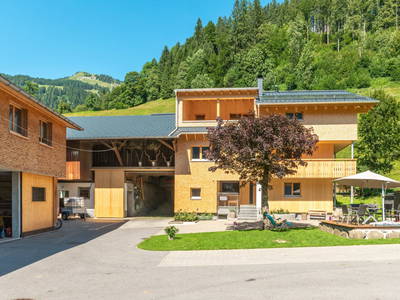 Bild 13 aus  Willihof