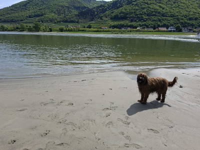 Bild 27 aus  Ferienhaus Plessberg