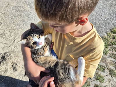 Bild 79 aus  Seyerlehnerhof