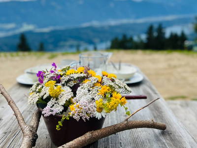 Bild 37 aus  Götzfried Almhütte