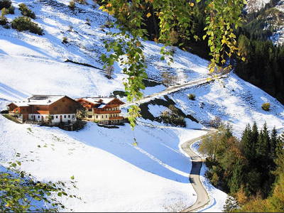 Bild 19 aus  Pfandlinghof