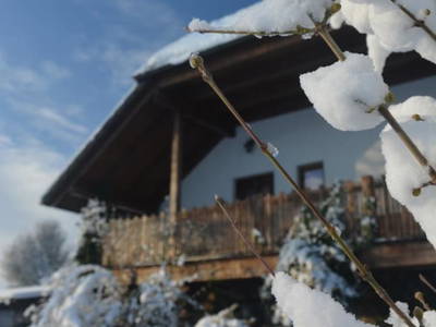 Bild 19 aus  Bio-Bauernhof Haunschmid