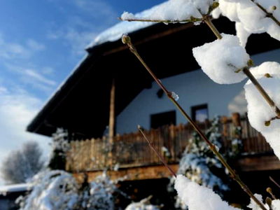 Bild 17 aus Bio-Bauernhof Haunschmid