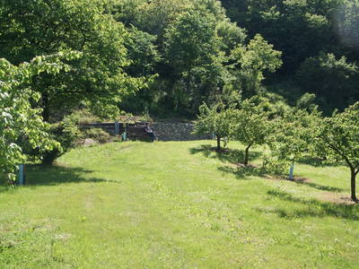 Bild 11 aus  Radlerhof Kienesberger