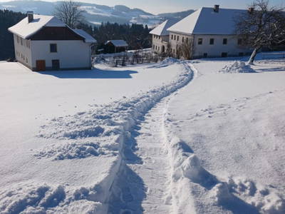 Bild 34 aus  Nußbaumer