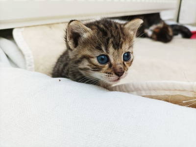 Bild 42 aus  Ferienhaus Weinmeyer 