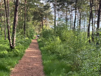 Wunderschöne Nordpfade...