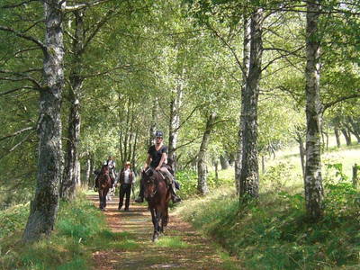 Bild 13 aus  Mühlberghof