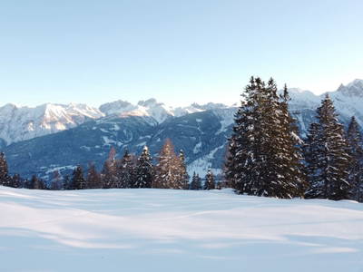 Bild 82 aus  Stembergerhof