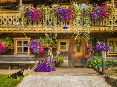 Bild 29 aus  Hacklbauer