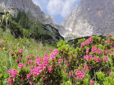 Bild 36 aus  Matzhof