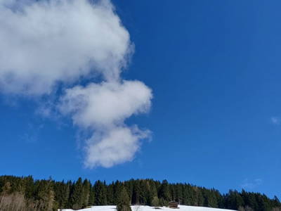Bild 32 aus Berghütte Boid