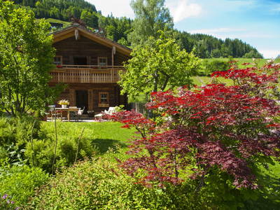 Bild 49 aus  Schloif Troadkastn