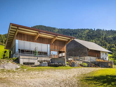 Bild 64 aus  Ferienhaus Untergrünweg