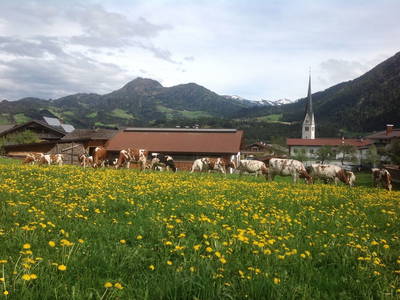 Bild 24 aus  Denggalahof