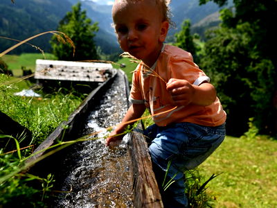 Bild 64 aus Bauernhof Pergila
